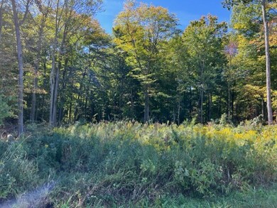 833 Township Road 754, Ashland, OH 44805 - photo 5