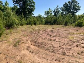 0 Waterford Ln unit 1355321, Rocky Face, GA 30740 - photo 4