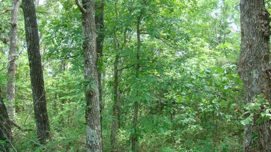 DSC05198