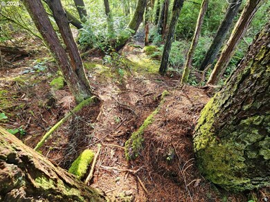 0 Kreiger Ln unit 122 24581015, Port Orford, OR 97465 - photo 7