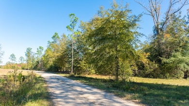 00 State Route 188, Cairo, GA 39827 - photo 2