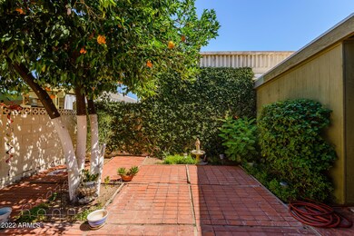 Serene patio area