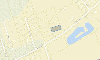 110 Emmeline Ct unit Lot 4, Conway, SC 29527 - photo 2