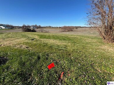 120 Owl Creek Dr, Vine Grove, KY 40175 - photo 4