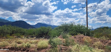 TBD E Ramsey Canyon Rd D -- unit E, Hereford, AZ 85615 - photo 5