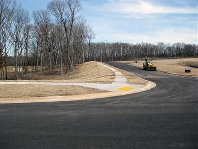 721 S Peach Brook, Nixa, MO 65714 - photo 3