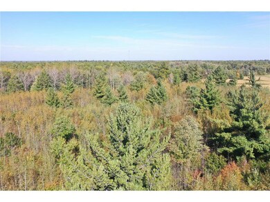 XXX Bluebird Trail Trail, Webster, WI 54893 - photo 7