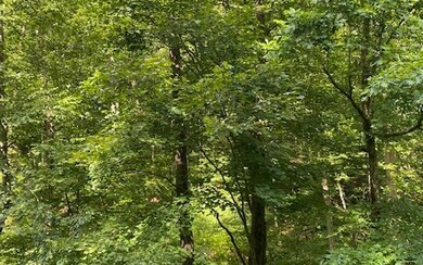 0 Spindrift Ct unit 310304, Ellijay, GA 30540 - photo 4