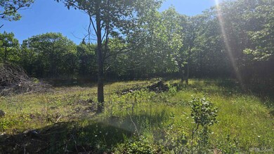 1021 Sedar Hill(parcel D) Rd unit (Parcel D), Calumet, MI 49913 - photo 5