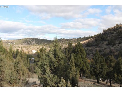 0 S Adam Dr unit 18349443, Canyon City, OR 97820 - photo 7