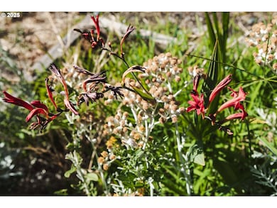 811 NE Clyde Place unit 116 C, Grants Pass, OR 97526 - photo 4