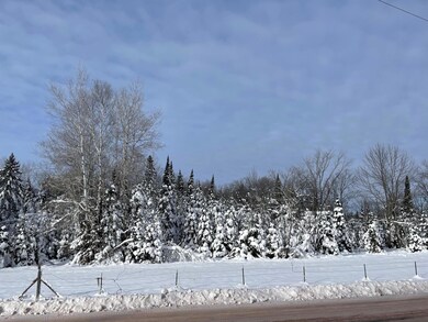 On Cth F unit 20 +/- A, Butternut, WI 54514 - photo 6