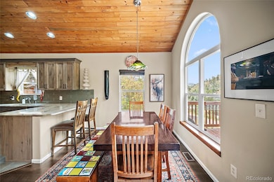 9845 Mesa Rd, Cascade, CO 80809 - photo 7