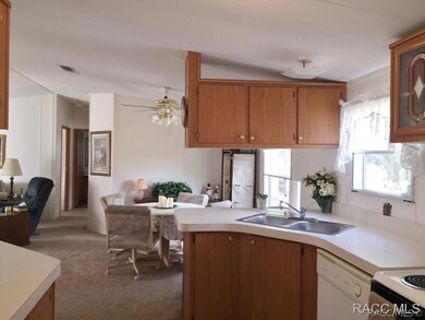 View from Kitchen to Dining