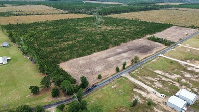 Elengton Rd aerial 2 no border