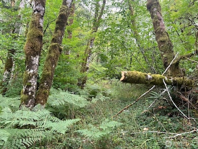 8822 Sherman Valley Rd SW, Olympia, WA 98512 - photo 4