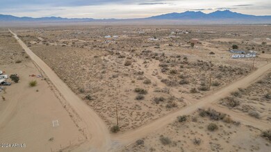 31004009 Kingman-2