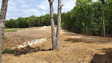 000 Lot 77 Summer Breeze, Kimberling City, MO 65686 - photo 5
