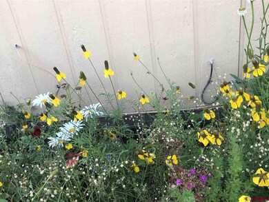 0 Mesa Loop unit 762585, Gunnison, CO 81230 - photo 6