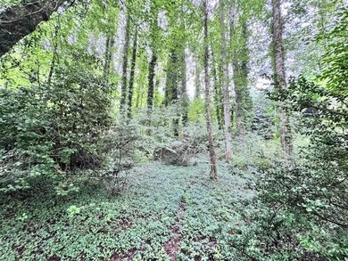 0 Glengary Dr unit 79, Flat Rock, NC 28731 - photo 6