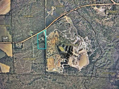 750 Cedar Grove Rd, Climax, GA 39834 - photo 4