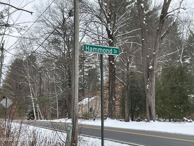 10 Hammond Dr unit 1 & 2, Gansevoort, NY 12831 - photo 2