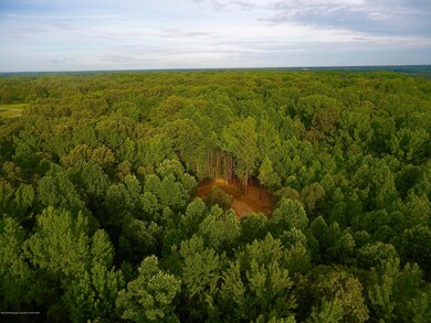 DJI_0028