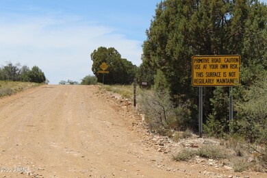 000 S Ash Creek Rd, Globe, AZ 85501 - photo 7