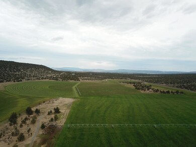 DJI_0124