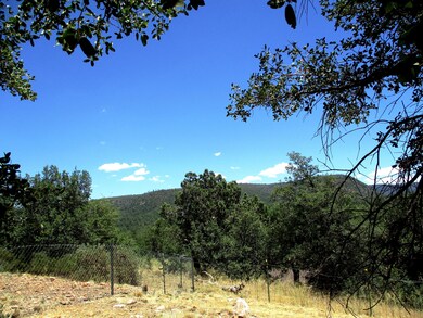 Backyard View