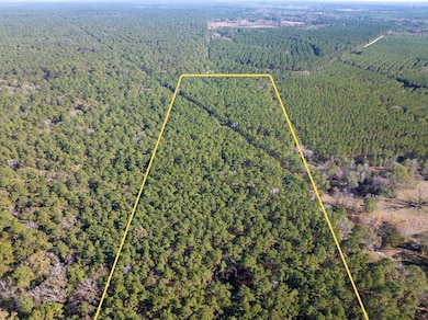000 Forest Service Road 527, Apple Springs, TX 75926 - photo 2