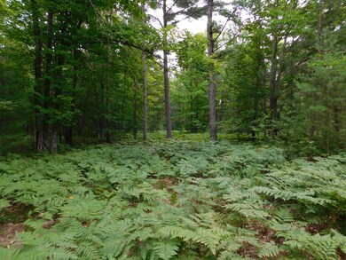 4810 Old Vanderbilt Rd, Vanderbilt, MI 49795 - photo 5