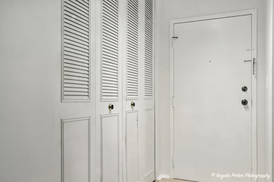 2600 Brookwood Way Dr unit 305, Rolling Meadows, IL 60008 - photo 3