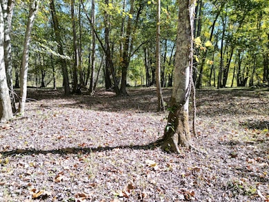 1462 Keystone Rd, Vinton, OH 45686 - photo 3