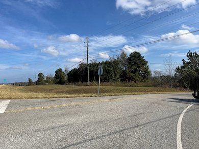 TBD US Highway 431 S, Eufaula, AL 36027 - photo 7