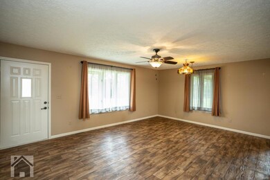 10873 State Highway Mm, Dixon, MO 65459 - photo 3