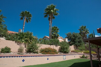 Beautiful Green Backyard  (Photo by KC C