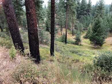 Wooded & Natural Landscaping