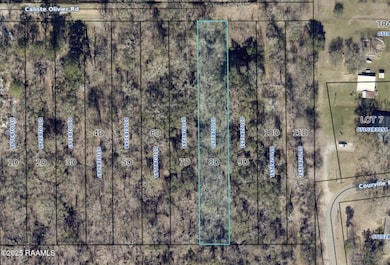 Lot 8-D Caliste Olivier Rd, Breaux Bridge, LA 70517 - photo 2