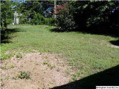 Backyard w alley
