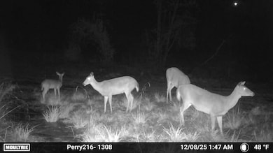 -- US Highway 98, Beaumont, MS 39423 - photo 3