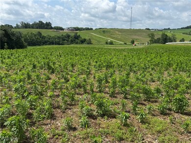 0 Dunker Rd, Baltic, OH 43804 - photo 3