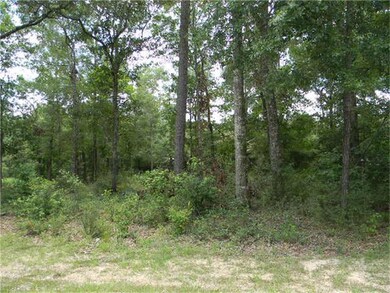 0 Woods Ln, Cleveland, TX 77328 - photo 2