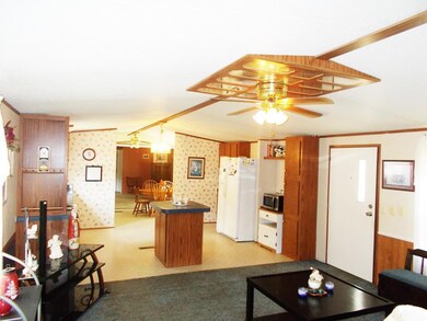 View from LR to Kitchen
