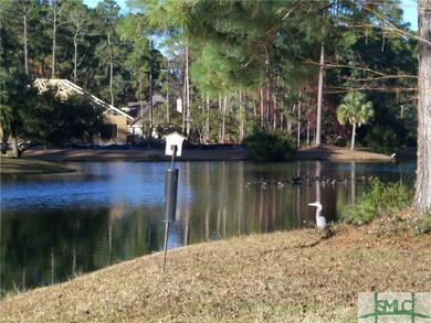 Bird activity behind house.  Lots of fish...lots o