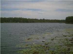 Lake Holley