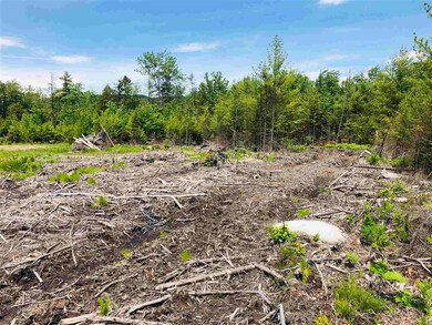 Lot 8 Forest View Dr, Effingham, NH 03882 - photo 6