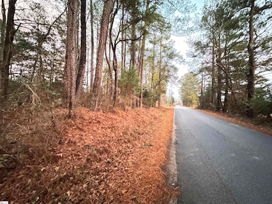 111 Hortizone Dr, Woodruff, SC 29388 - photo 6