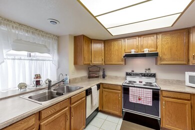 Double sink and window   over sink