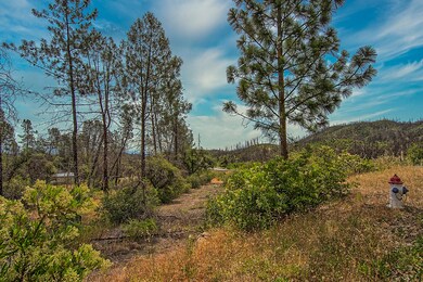 299 acreage-105